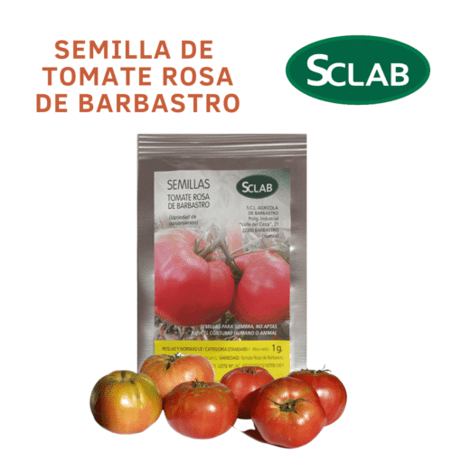 Tomate Rosa de Barbastro Cooperativa Barbastro